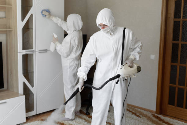 Best Certified Mold Removal  in Burkburnett, TX